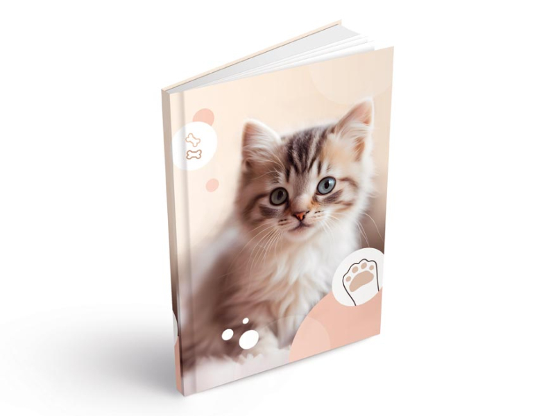 Kancelárske potreby - záznamová kniha A6 100l/linka ZL6104 7501594