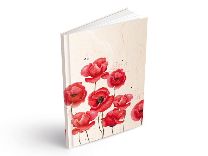 Kancelárske potreby - záznamová kniha A6 100l/linka ZL6104 7501598