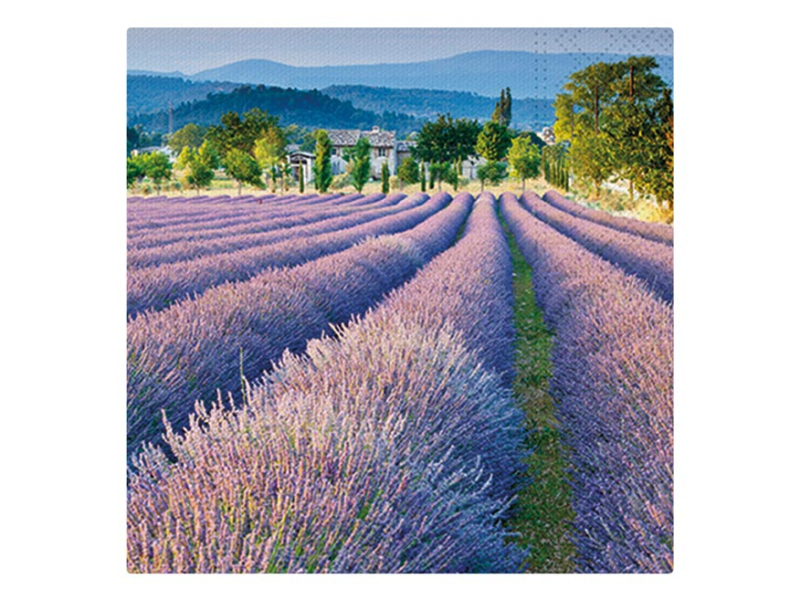 Kancelárske potreby - obrúsok P 33x33 celorok SDL849000 2011093