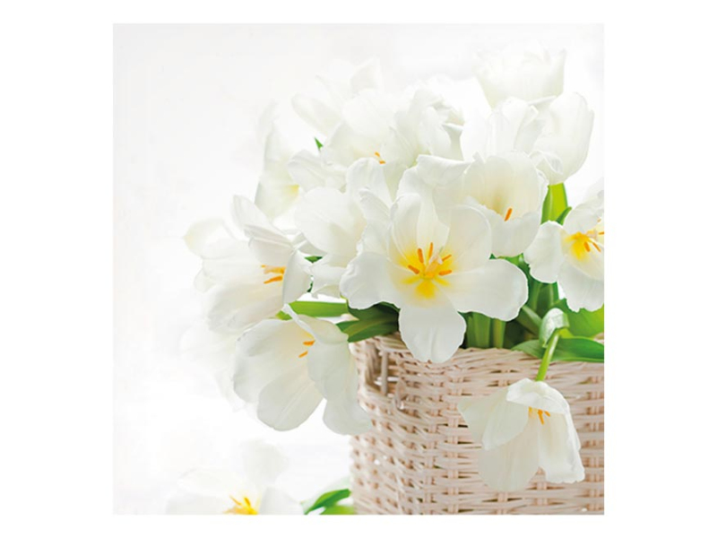 Kancelárske potreby - obrúsok P 33x33 celorok MES200749 2010994