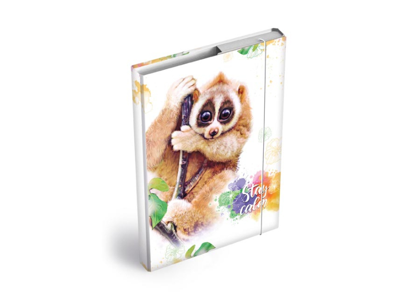 Kancelárske potreby - dosky na zošity box A4 Outloň 8020990