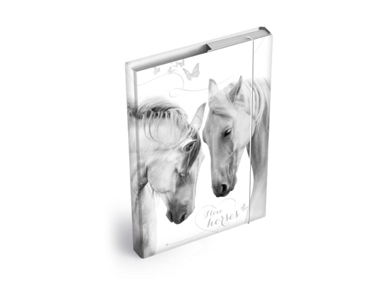 Kancelárske potreby - dosky na zošity box A5 Kone 8020967