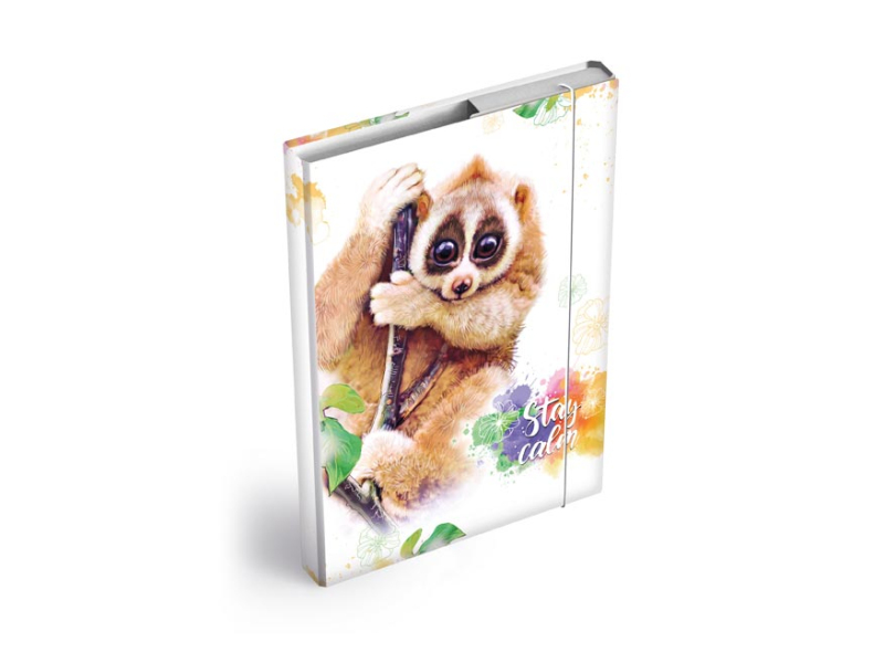 Kancelárske potreby - dosky na zošity box A5 Outloň 8020976