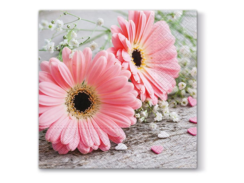 Kancelárske potreby - obrúsok P 33x33 celorok TL341000 2010925