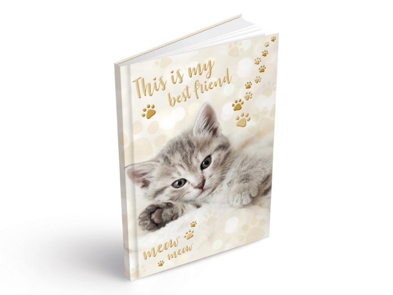 Kancelárske potreby - záznamová kniha A6 100l/linka ZL6104 7501417